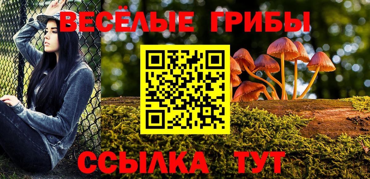 Галлюциногенные грибы прущие грибы  Псилоцибиновые грибы Magic Shrooms  цена наркотик  Вход с VPN  Прокопьевск 
