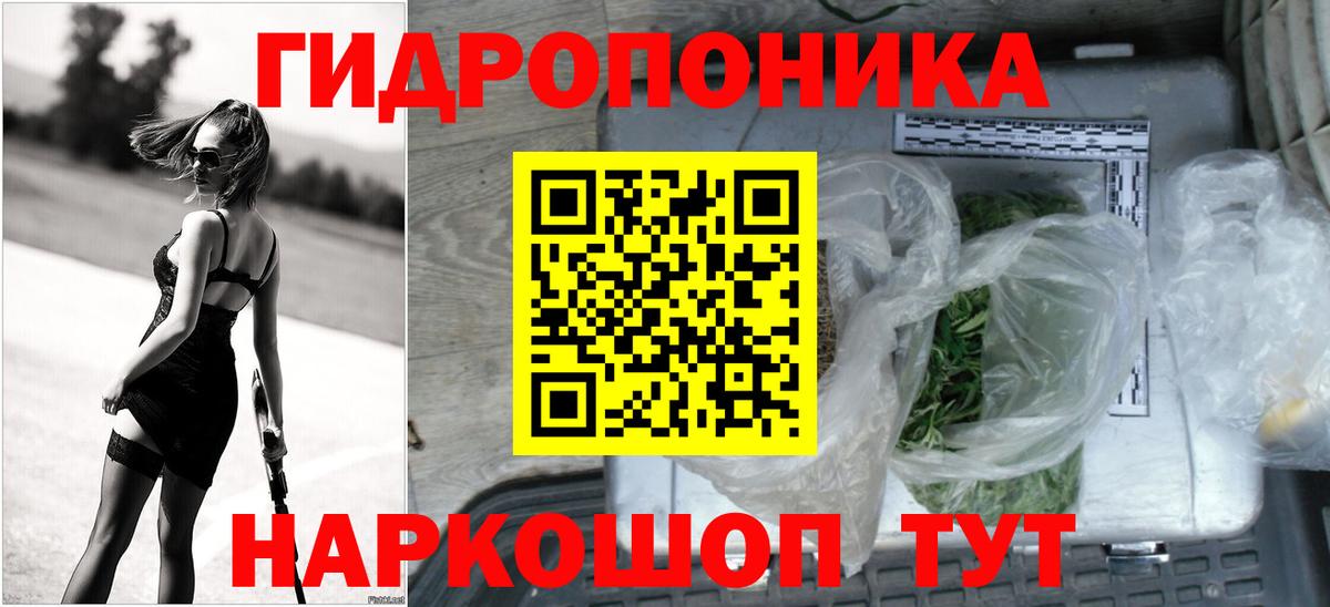 Конопля план  Марихуана план  Прокопьевск  Вход с VPN  Марихуана индика 